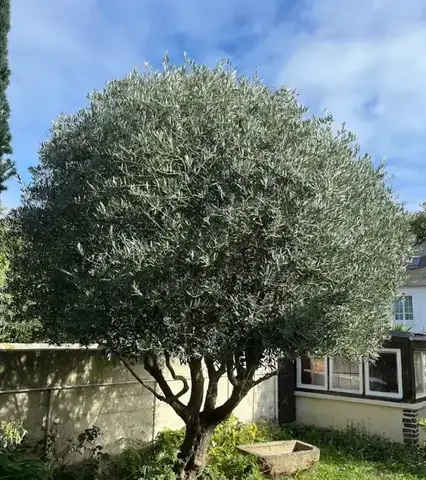 entreprise de terrassement Cancale-1