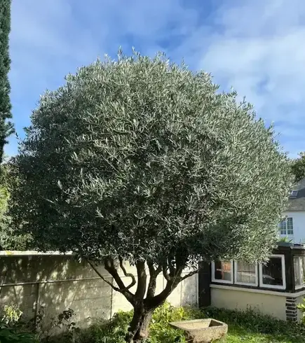 entreprise de terrassement Dinard-5