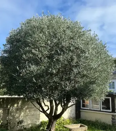 entreprise de terrassement Saint-Briac-sur-Mer-1