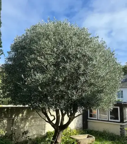 entreprise de terrassement Saint-Jouan-des-Guérets-5