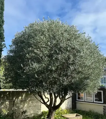entreprise de terrassement Saint-Lunaire-5