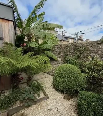 entretien de jardin Saint-Briac-sur-Mer-1