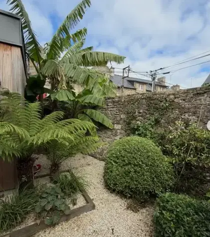 entretien de jardin Saint-Lunaire-1