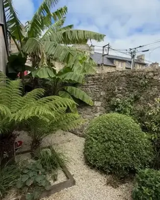 entretien de jardin Saint-Malo-1